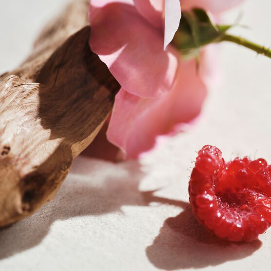 CHLOE SIGNATURE INTENSEMENT EDP 50ML